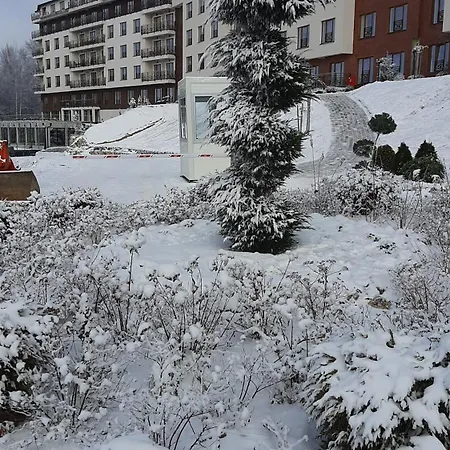 Tontic Lux Milmari *