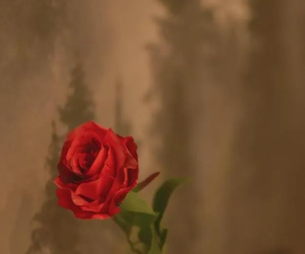 Tontic Lux Milmari * Kopaonik