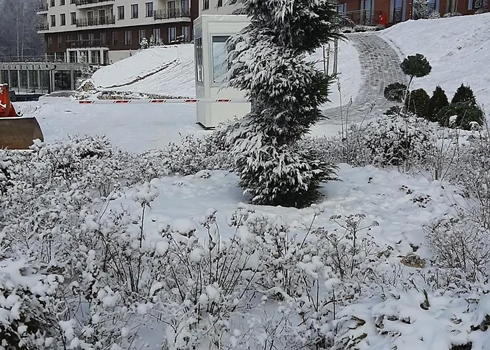 Tontic Lux Milmari *